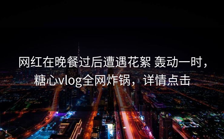 网红在晚餐过后遭遇花絮 轰动一时，糖心vlog全网炸锅，详情点击