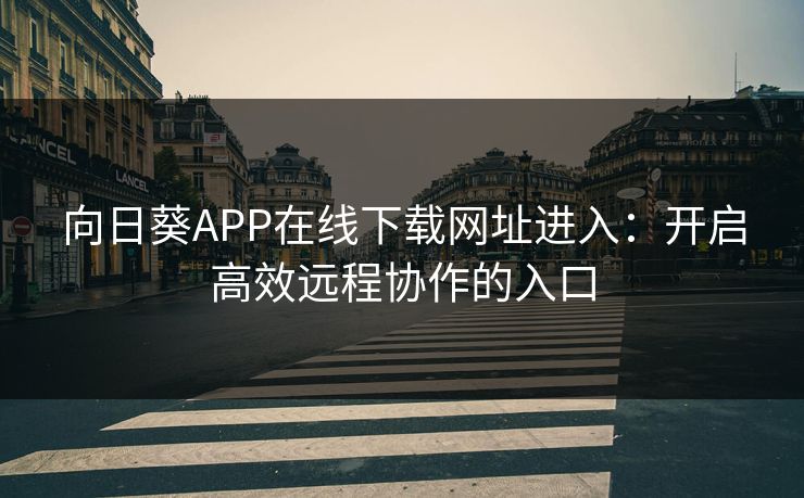 向日葵APP在线下载网址进入：开启高效远程协作的入口