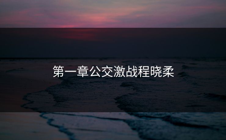 第一章公交激战程晓柔
