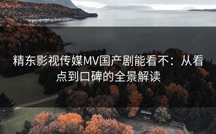 精东影视传媒MV国产剧能看不：从看点到口碑的全景解读